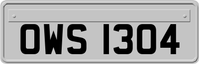OWS1304