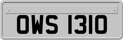 OWS1310