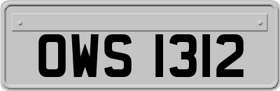 OWS1312