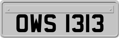 OWS1313