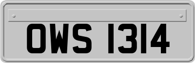 OWS1314