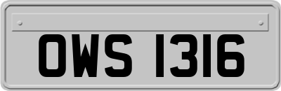 OWS1316