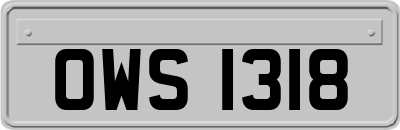 OWS1318