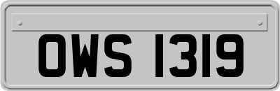 OWS1319