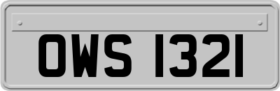 OWS1321