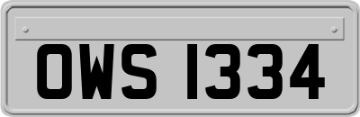 OWS1334
