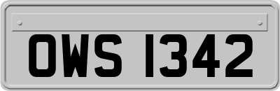 OWS1342