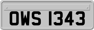 OWS1343