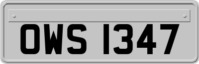 OWS1347