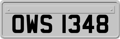 OWS1348