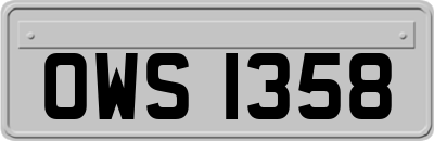 OWS1358