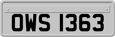 OWS1363
