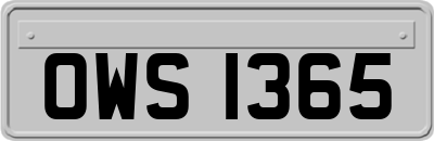 OWS1365