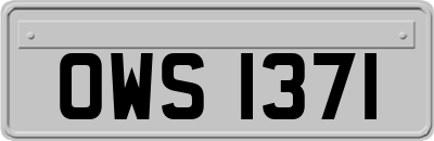 OWS1371