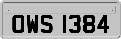 OWS1384