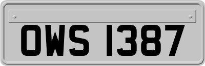 OWS1387