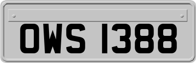 OWS1388