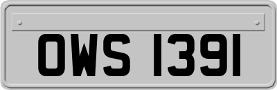 OWS1391