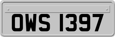 OWS1397