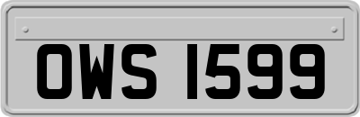 OWS1599