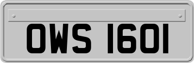 OWS1601