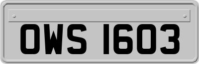 OWS1603