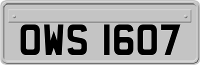 OWS1607