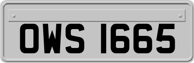 OWS1665