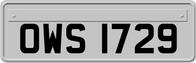OWS1729