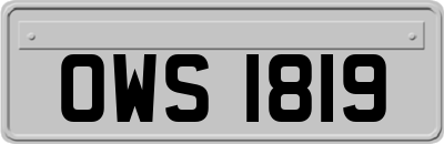 OWS1819