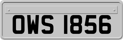 OWS1856