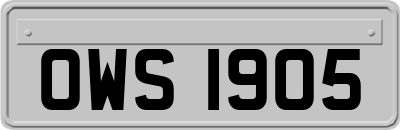 OWS1905