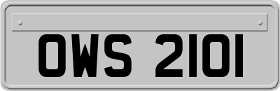 OWS2101