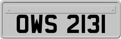 OWS2131