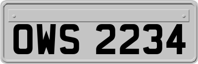 OWS2234
