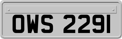 OWS2291