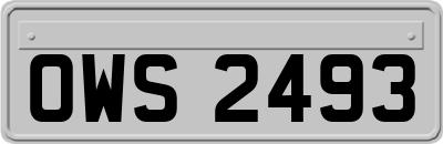 OWS2493