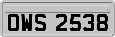 OWS2538