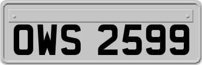 OWS2599