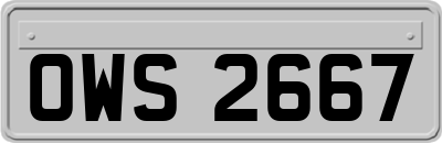 OWS2667