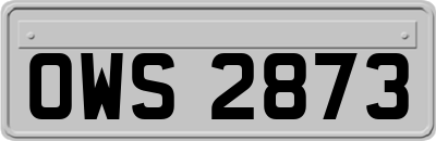 OWS2873
