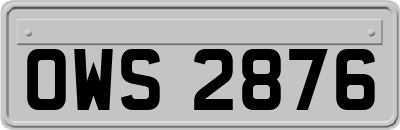 OWS2876