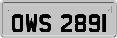 OWS2891