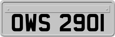 OWS2901