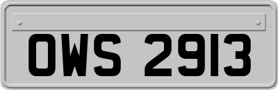 OWS2913