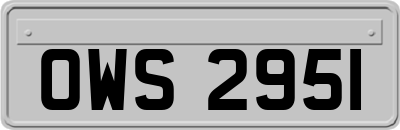 OWS2951