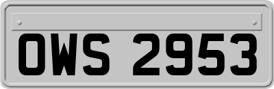OWS2953