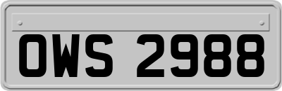 OWS2988