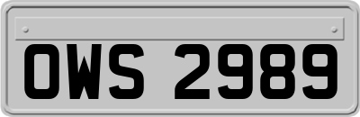 OWS2989