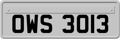 OWS3013